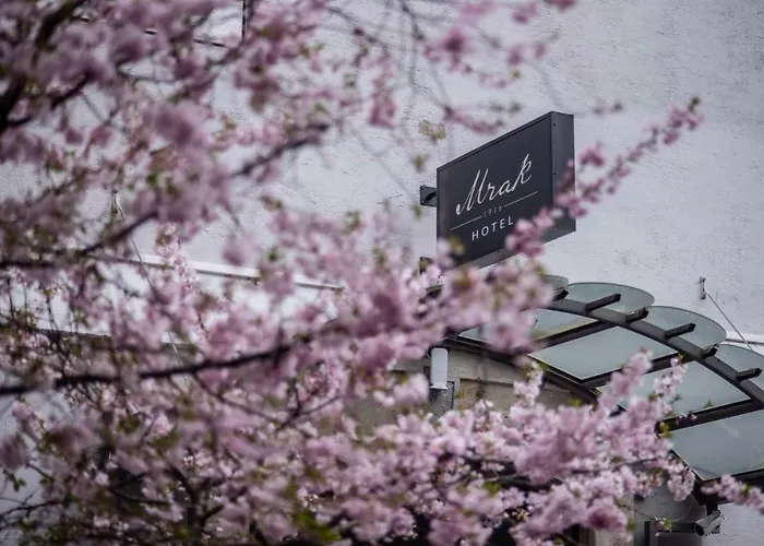 Mrak לובליאנה